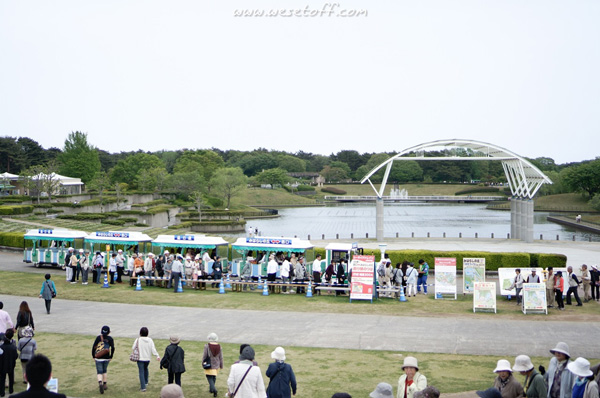 Hitachi Seaside Park Hitachi Seaside Park