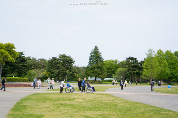 Hitachi Seaside Park Hitachi Seaside Park