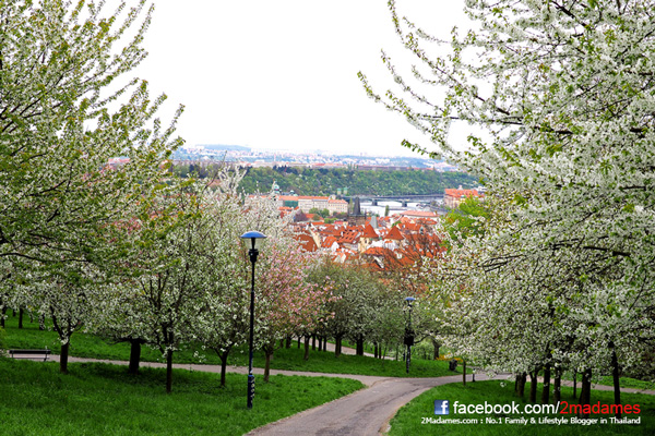 Prague Prague