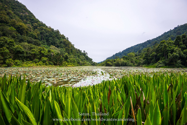 อุทยานแห่งชาติทะเลบัน อุทยานแห่งชาติทะเลบัน