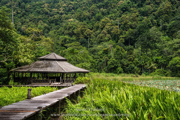 อุทยานแห่งชาติทะเลบัน อุทยานแห่งชาติทะเลบัน