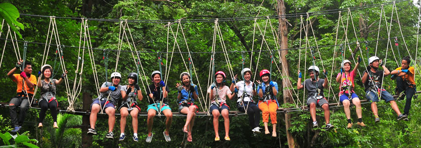 Tree Top Adventure Park Tree Top Adventure Park