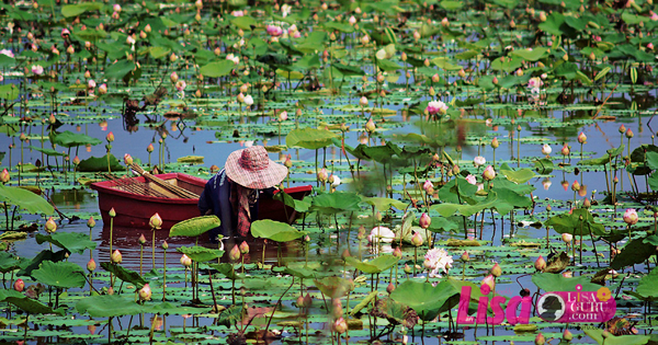คลองมหาสวัสดิ์ คลองมหาสวัสดิ์