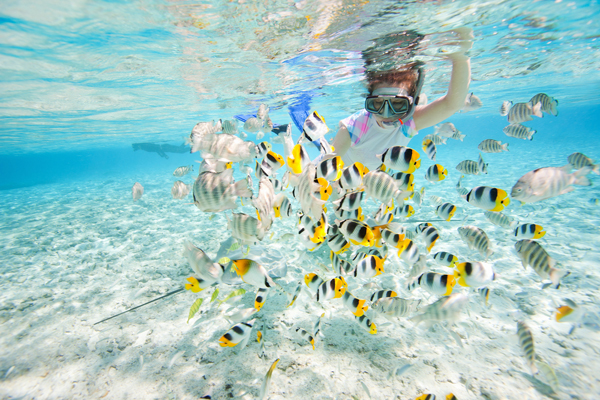 Bora Bora Island Bora Bora Island