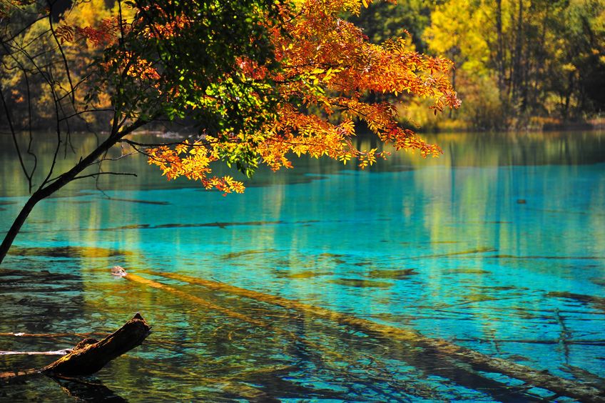 หุบเขาจิ่วจ้ายโกว หุบเขาจิ่วจ้ายโกว (Jiuzhaigou)