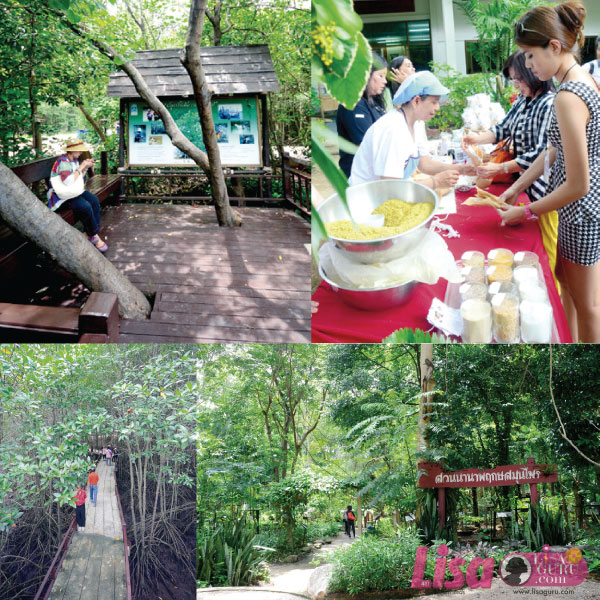 สามร้อยยอด-กุยบุรี เส้นทางนี้ยังน่ามหัศจรรย์ สามร้อยยอด-กุยบุรี เส้นทางนี้ยังน่ามหัศจรรย์
