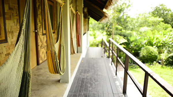 เรนฟอเรสท์ ฟาร์ม (Rain Forest Farm) จ.พิษณุโลก เรนฟอเรสท์ ฟาร์ม (Rain Forest Farm) จ.พิษณุโลก
