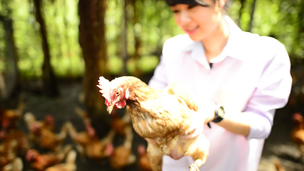 เรนฟอเรสท์ ฟาร์ม (Rain Forest Farm) จ.พิษณุโลก เรนฟอเรสท์ ฟาร์ม (Rain Forest Farm) จ.พิษณุโลก