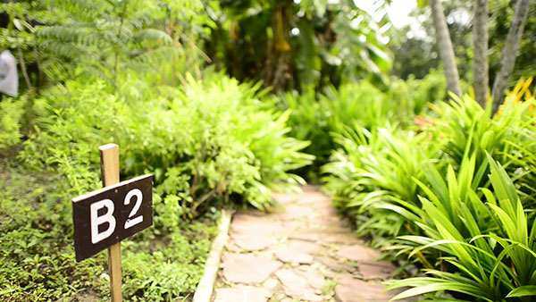 เรนฟอเรสท์ ฟาร์ม (Rain Forest Farm) จ.พิษณุโลก เรนฟอเรสท์ ฟาร์ม (Rain Forest Farm) จ.พิษณุโลก