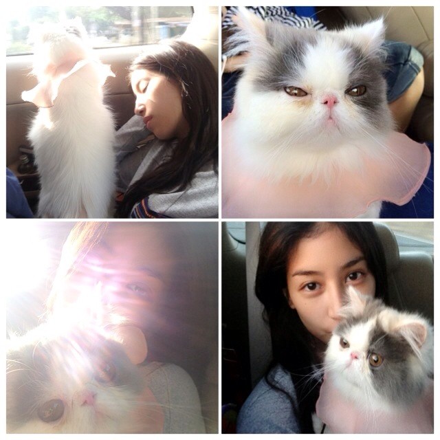 ชมความน่ารักของ มิ้นต์ ชาลิดา กับ เอเลน่า แมวน้อยสุดเลิฟ ชมความน่ารักของ มิ้นต์ ชาลิดา กับ เอเลน่า แมวน้อยสุดเลิฟ