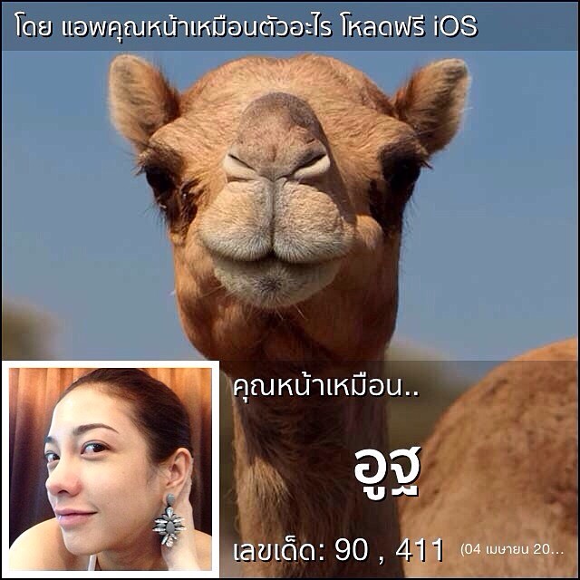 แอพคุณหน้าเหมือนตัวอะไร แอพคุณหน้าเหมือนตัวอะไร