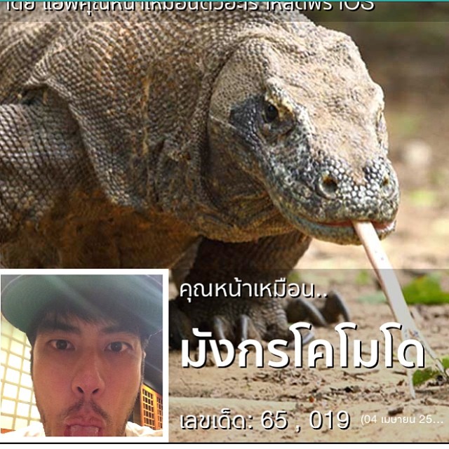 แอพคุณหน้าเหมือนตัวอะไร แอพคุณหน้าเหมือนตัวอะไร