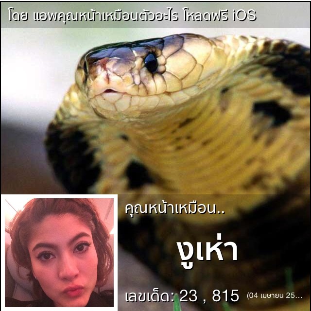 แอพคุณหน้าเหมือนตัวอะไร แอพคุณหน้าเหมือนตัวอะไร