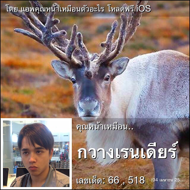 แอพคุณหน้าเหมือนตัวอะไร แอพคุณหน้าเหมือนตัวอะไร