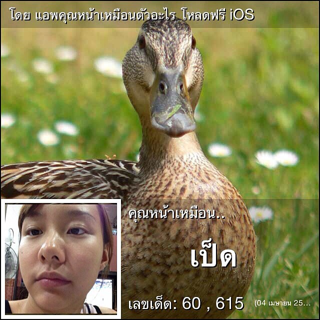 แอพคุณหน้าเหมือนตัวอะไร แอพคุณหน้าเหมือนตัวอะไร