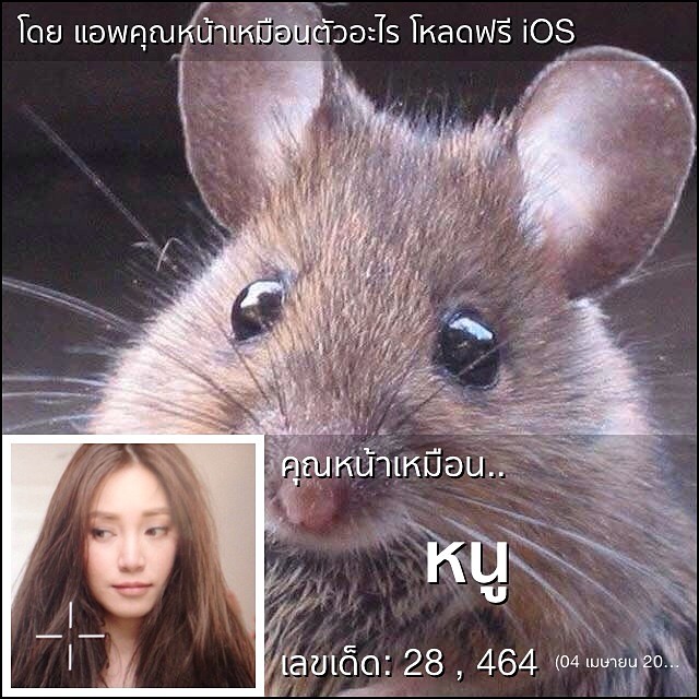 แอพคุณหน้าเหมือนตัวอะไร แอพคุณหน้าเหมือนตัวอะไร