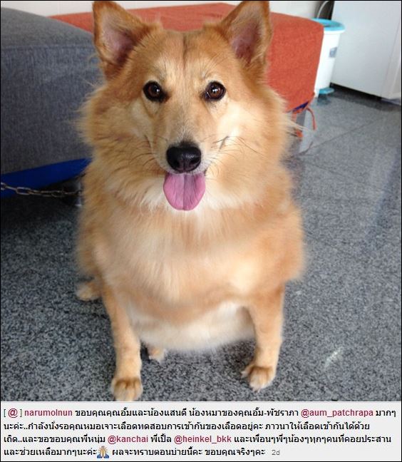 น้องแสนดี น้องแสนดี