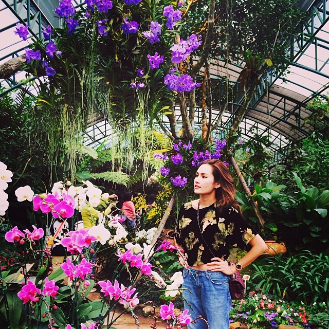 ญาญ่าหญิง พาแม่น้อย โพธิ์งาม แอ่วเหนือ ทำบุญรับปีใหม่ ญาญ่าหญิง พาแม่น้อย โพธิ์งาม แอ่วเหนือ ทำบุญรับปีใหม่