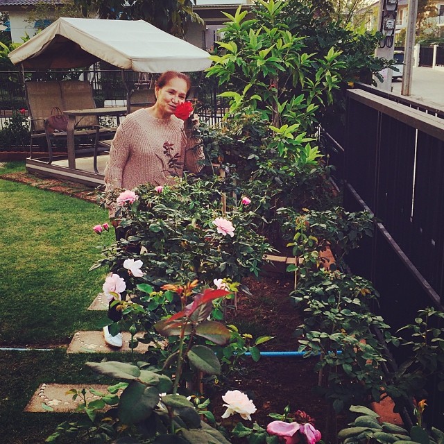 ญาญ่าหญิง พาแม่น้อย โพธิ์งาม แอ่วเหนือ ทำบุญรับปีใหม่ ญาญ่าหญิง พาแม่น้อย โพธิ์งาม แอ่วเหนือ ทำบุญรับปีใหม่