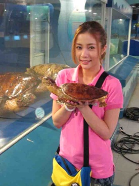 ดุจตะวันดั่งภูผา