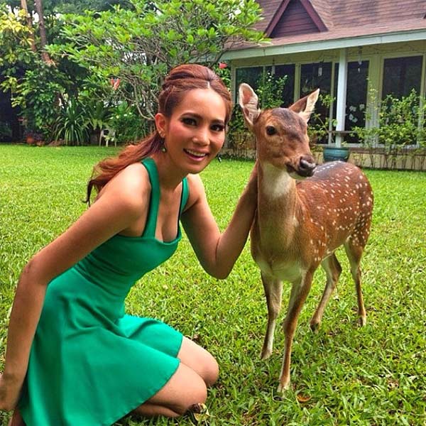 ชาม โอสถานนท์