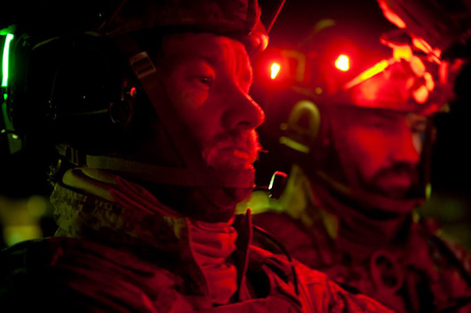 Zero Dark Thirty