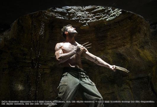 the wolverine the wolverine