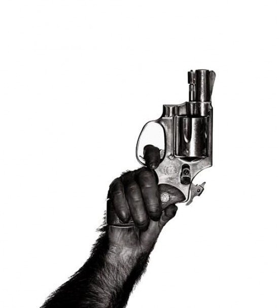 Dawn of the Planet of the Apes
