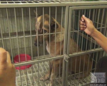 เจ้าจิ๋ว