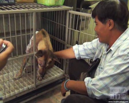 เจ้าจิ๋ว