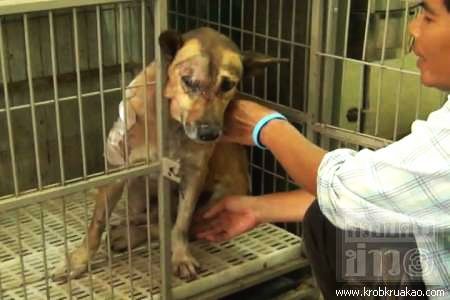 เจ้าจิ๋ว