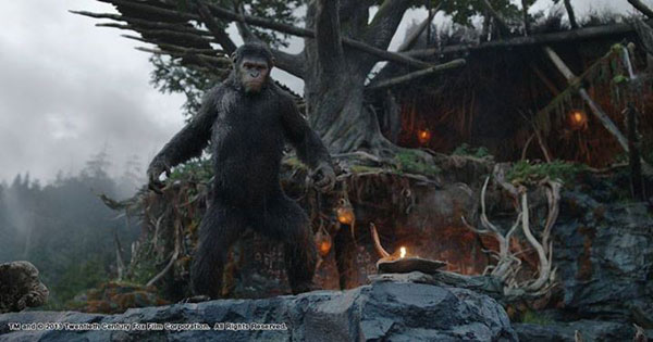 Dawn of the Planet of the Apes Dawn of the Planet of the Apes
