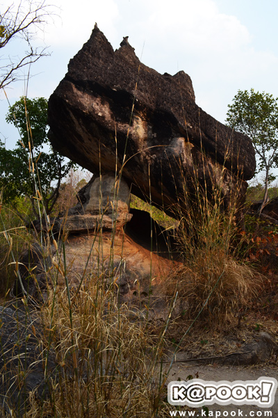 ภูผาเทิบ ภูผาเทิบ