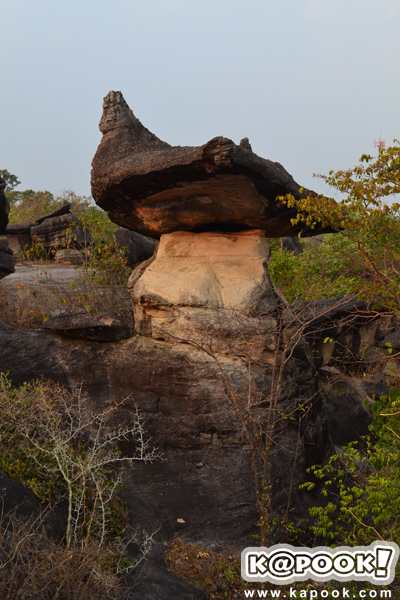 ภูผาเทิบ ภูผาเทิบ