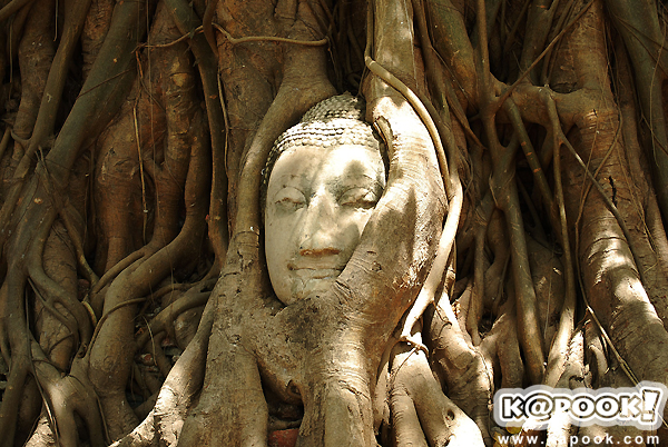วัดอยุธยา วัดอยุธยา