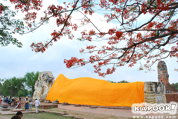 วัดอยุธยา วัดอยุธยา