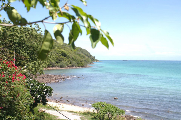 หาดเตยงาม หาดเตยงาม