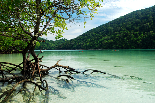 หมู่เกาะสุรินทร์ หมู่เกาะสุรินทร์