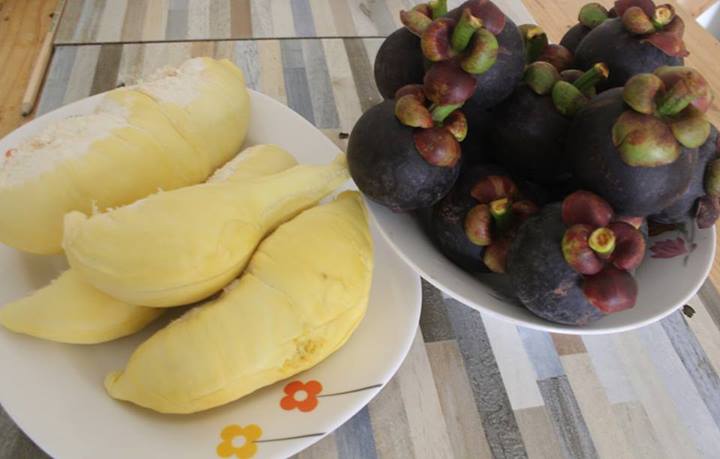 rayong fruit farm rayong fruit farm