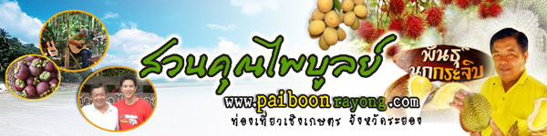 rayong fruit farm rayong fruit farm