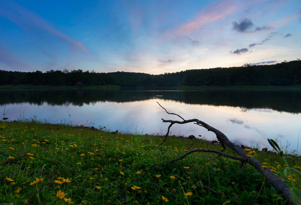 ภาพ Landscape ภาพ Landscape