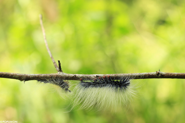 ภาพ Landscape ภาพ Landscape