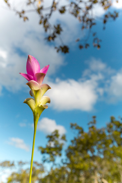 ภาพ Landscape ภาพ Landscape
