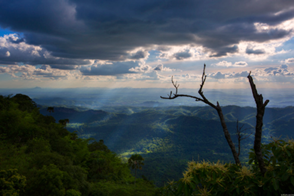 ภาพ Landscape ภาพ Landscape