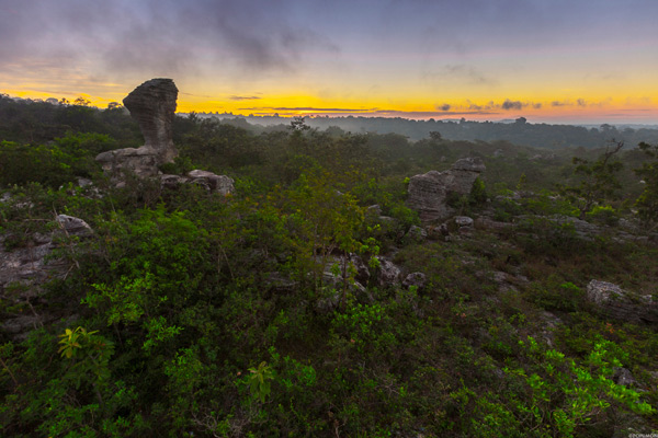 ภาพ Landscape ภาพ Landscape