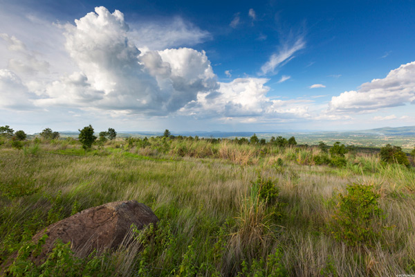 ภาพ Landscape ภาพ Landscape