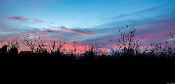 ภาพ Landscape ภาพ Landscape