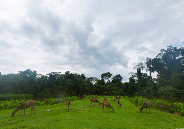 ภาพ Landscape ภาพ Landscape