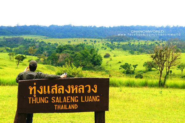 ท่องเที่ยวหน้าหนาว ท่องเที่ยวหน้าหนาว