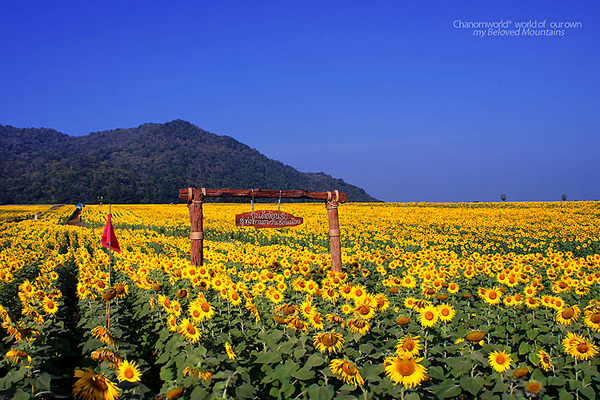 ท่องเที่ยวหน้าหนาว ท่องเที่ยวหน้าหนาว